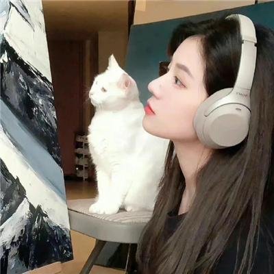 暗芝居第一季